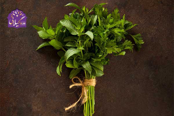 8 Health Benefits of Mint